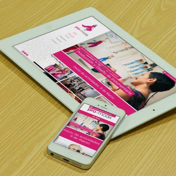 Instituto Promoda – Sitio adaptable
