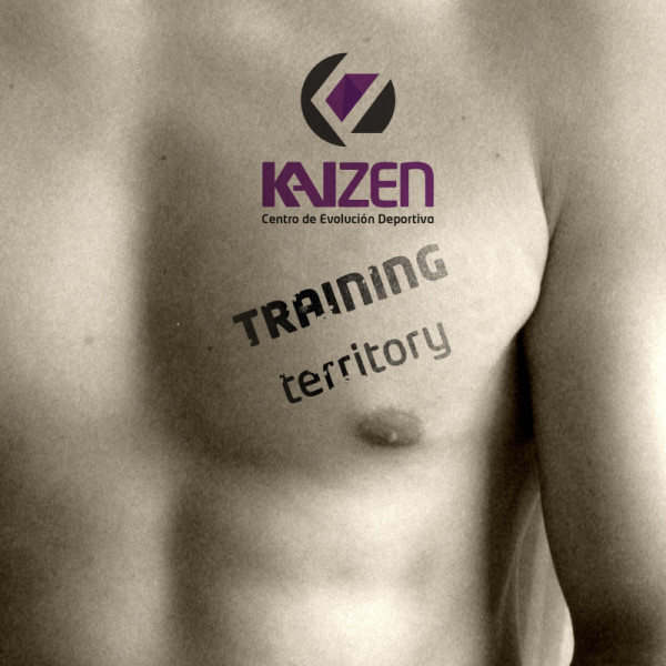 Kaizen Centro de Evolución Deportiva (España) Diseño web y Comunicación en Paraná, Cáceres y Badajoz
