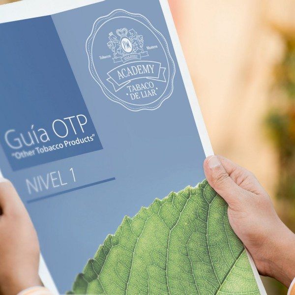 Diseño web y Comunicación en Paraná, Cáceres y Badajoz