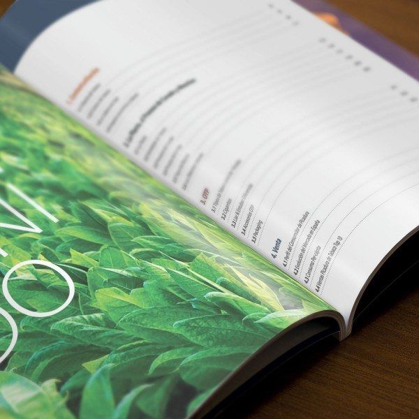 Diseño web y Comunicación en Paraná, Cáceres y Badajoz