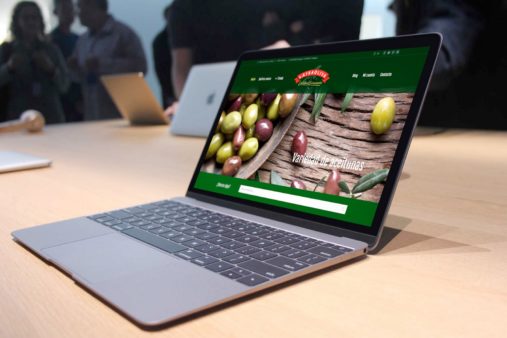 Diseño web y Comunicación en Paraná, Cáceres y Badajoz