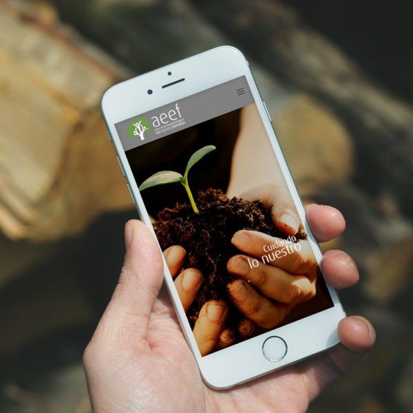 AEEF – Sitio Web Móviles AEEF - Sitio Web Móviles