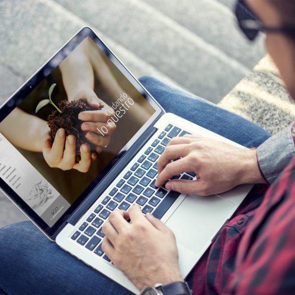 AEEF – Sitio Web AEEF - Sitio Web