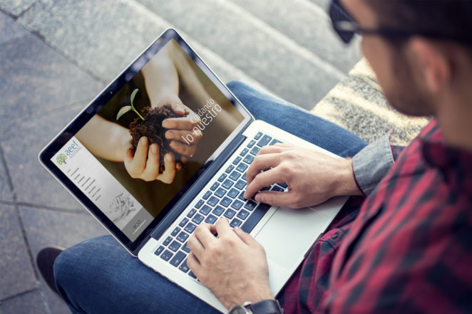 AEEF - Sitio Web